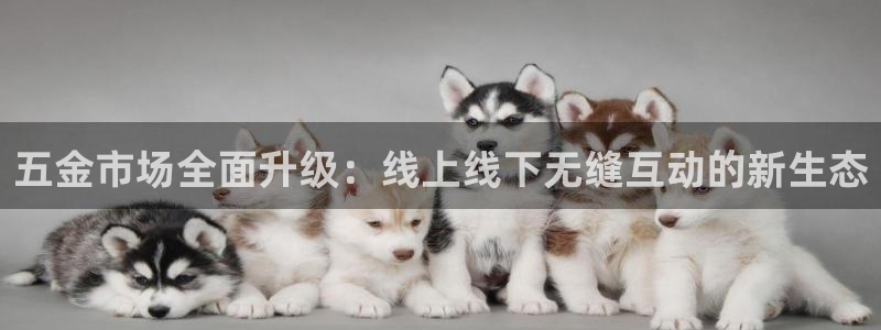 天狮学院娱乐设施