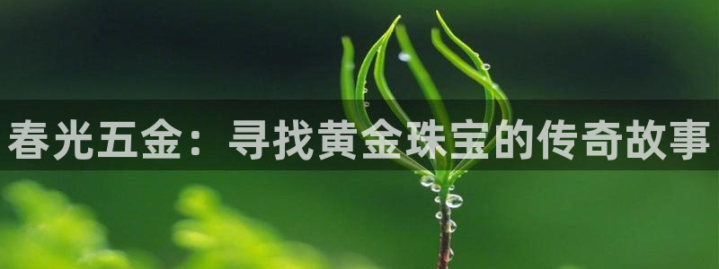 天狮娱乐d 判官