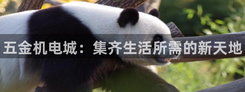 天狮娱乐登陆