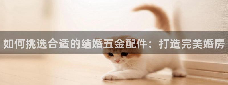 天狮娱乐指尖可