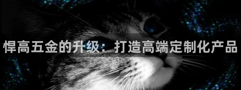 天狮娱乐股东