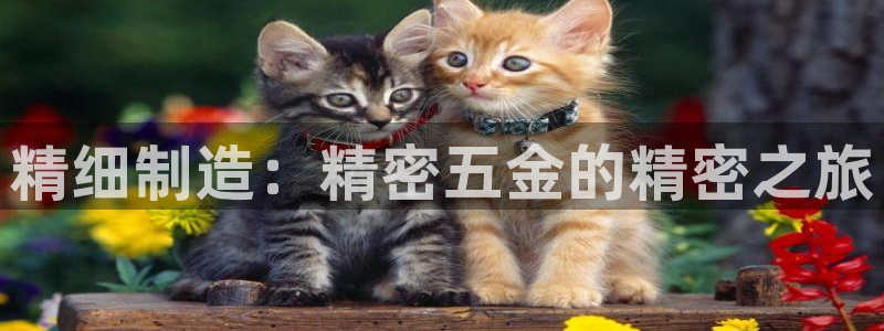 苏州狮山龙湖天街娱乐