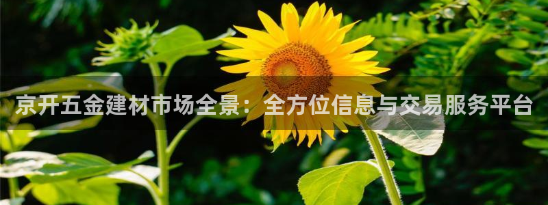 天狮娱乐i股t东64681