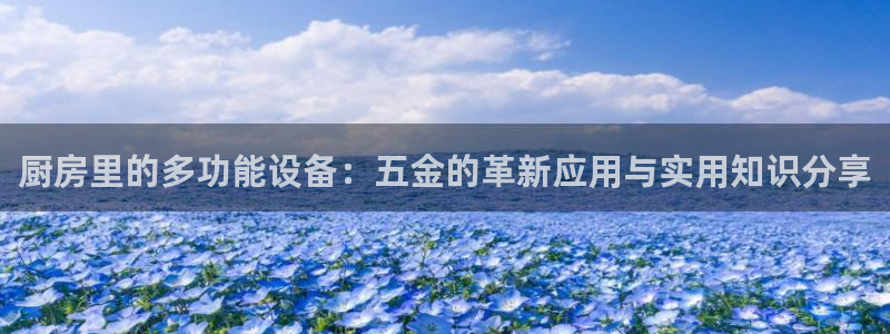 天狮娱乐招商29229