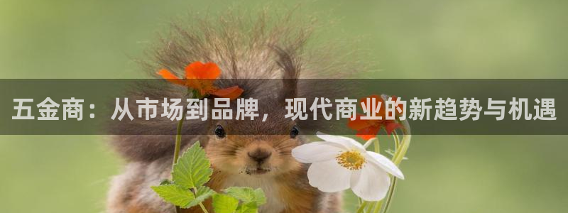 天狮娱乐指尖年