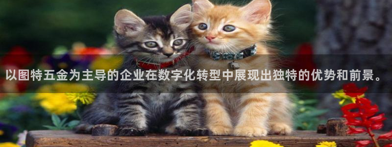 天狮娱乐平台招商