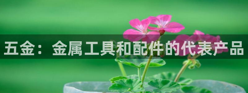 天狮娱乐 b招商67646