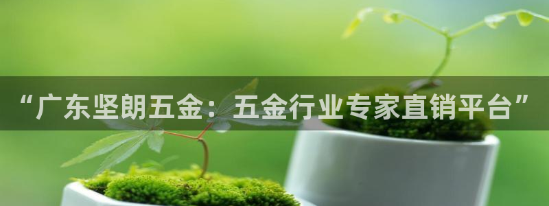 天狮娱乐授权