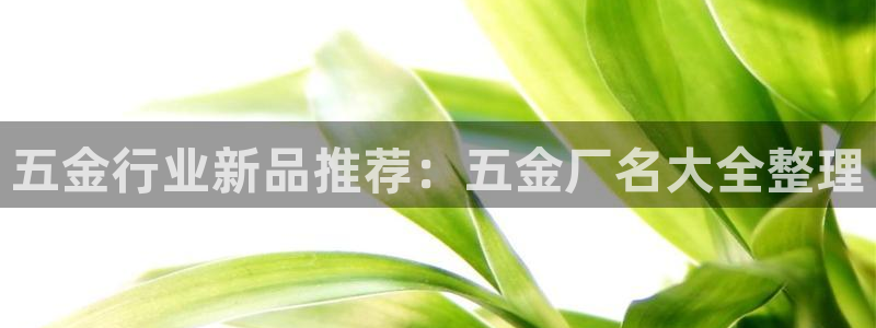 天狮娱乐湫33 300