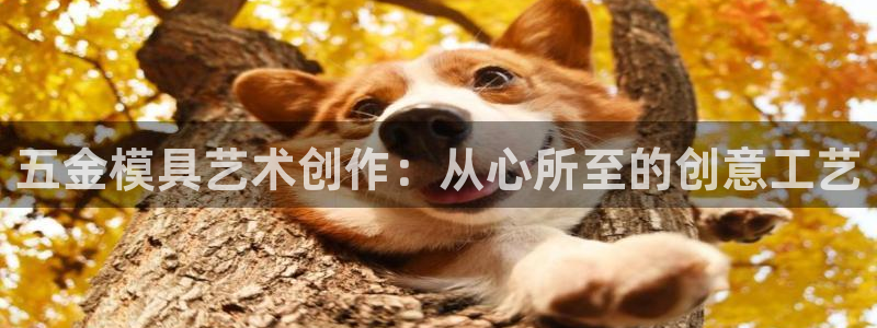 天狮娱乐j 判官