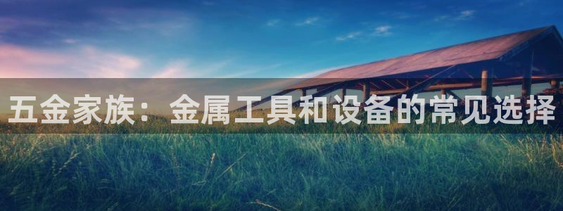 天狮娱乐股东