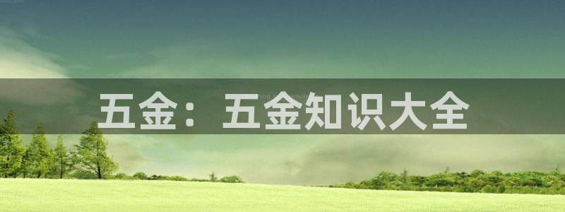 天狮娱乐p实 权