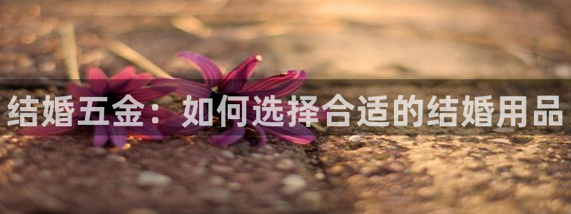 天狮娱乐代理