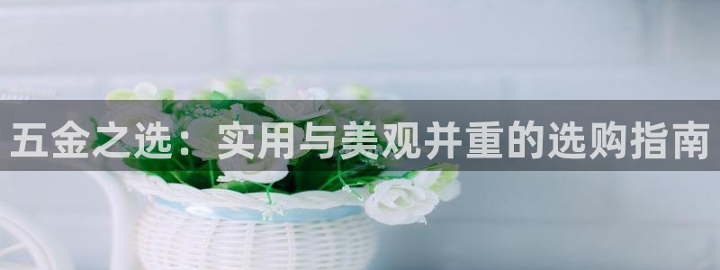 天狮娱乐怎么下载
