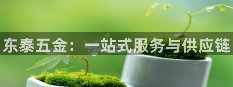 天狮娱乐主管66六26