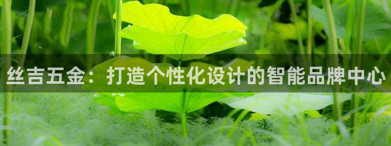 天狮娱乐c OO判官