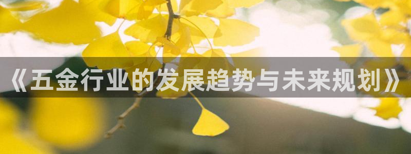 天狮娱乐彩票玩法