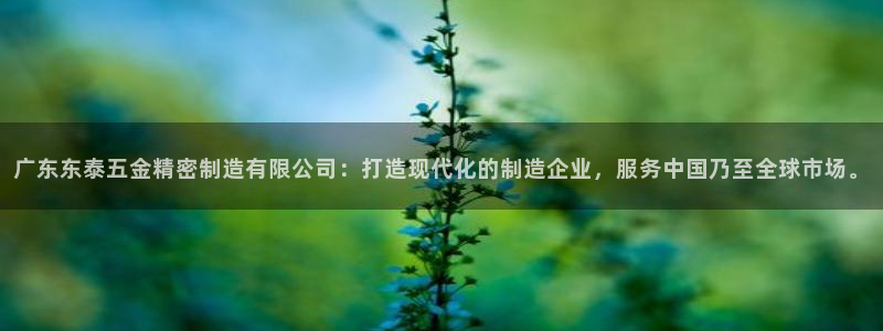 天狮娱乐叶哥