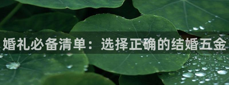 天狮娱乐bd33net广告