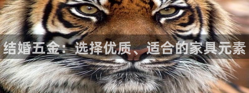 天狮娱乐e 判官