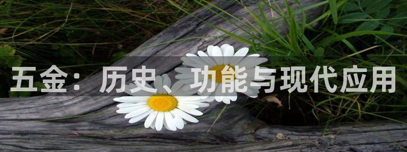 天狮娱乐挂机软件