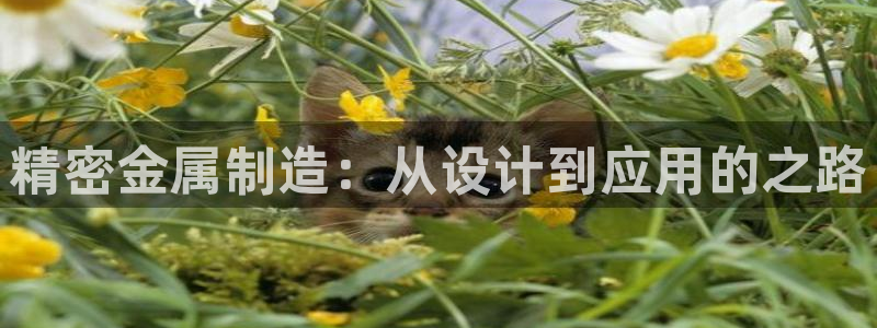 天狮娱乐最高待遇