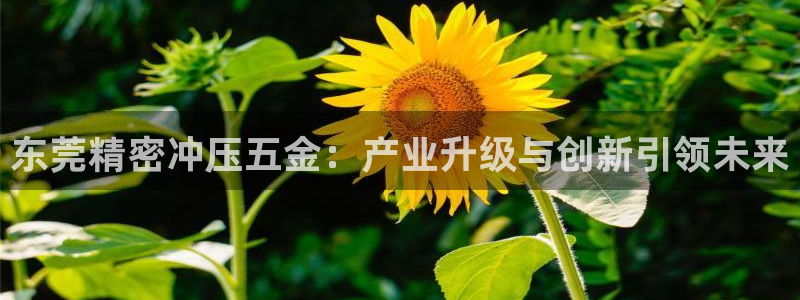 天狮娱乐平台找谁