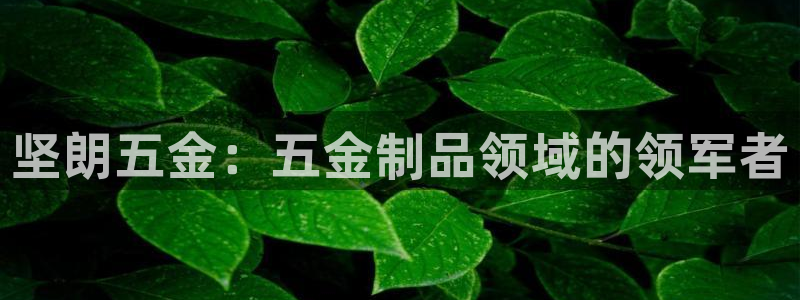 天狮国际娱乐平台