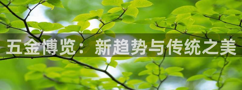 天狮娱乐去