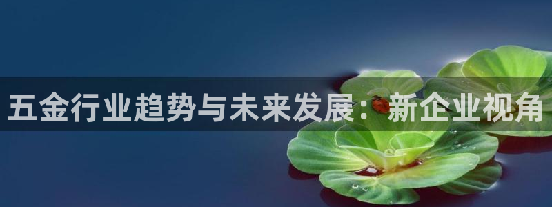 天狮娱乐挂机软件