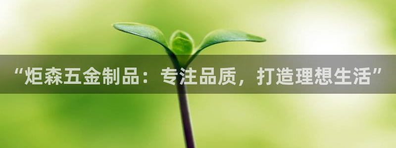 天狮娱乐b 判官是什么