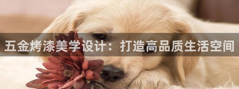 天狮娱乐网