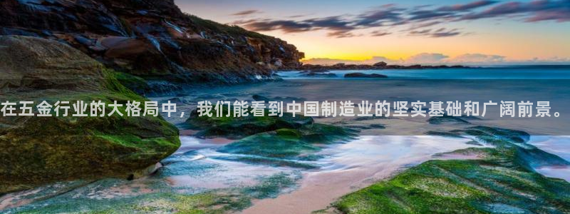天狮娱乐挂机