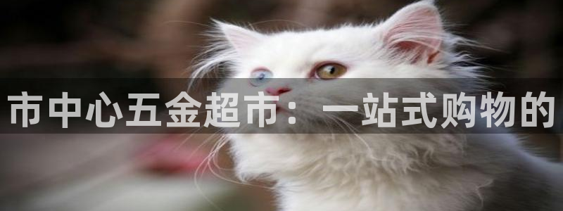 天狮娱乐股东29229