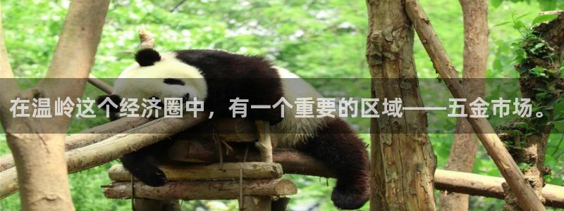 天狮娱乐分分彩平台