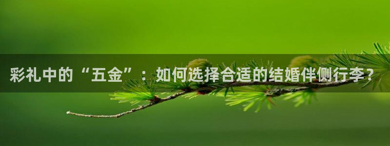 天狮国际娱乐