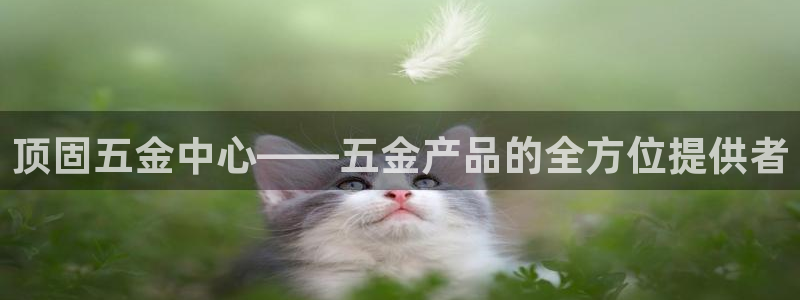 天狮娱乐i 判官