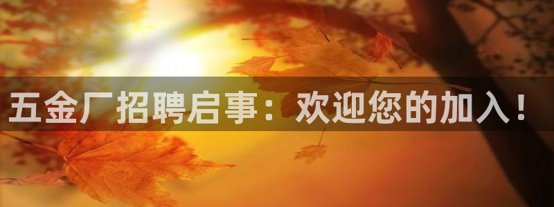 天狮娱乐bd33net广告