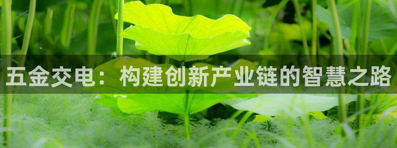 天狮娱乐平台作弊