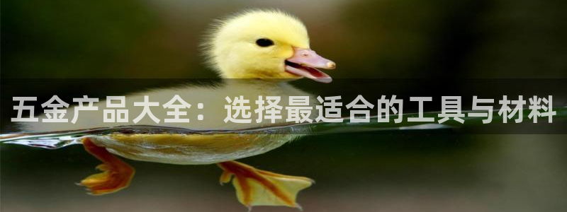 天狮娱乐彩票玩法