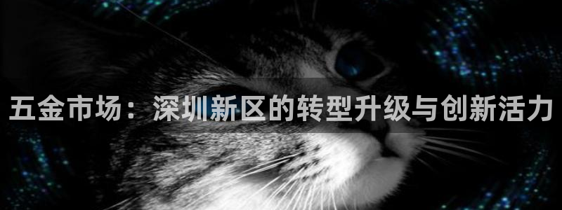 天狮娱乐ios下载