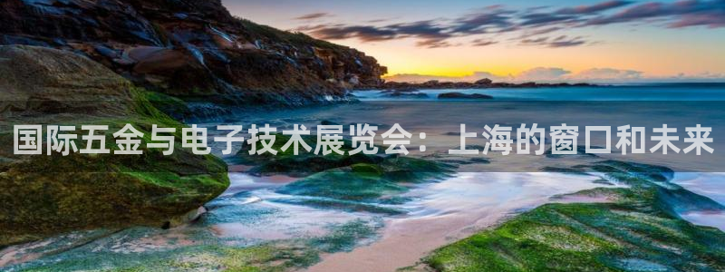 天狮娱乐股东Q 882092