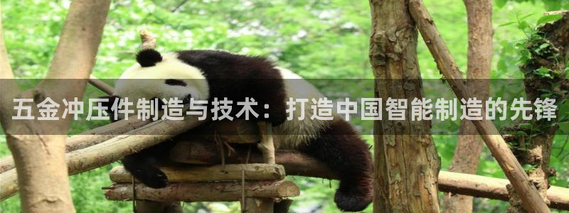 天狮娱乐招商57757