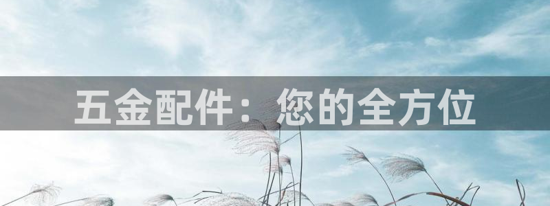 天狮娱乐股东待遇