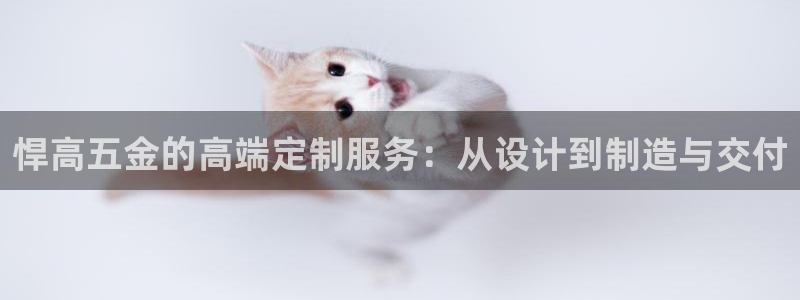 天狮娱乐股东待遇