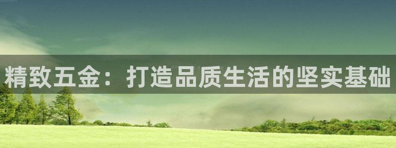 天狮娱乐怎么做