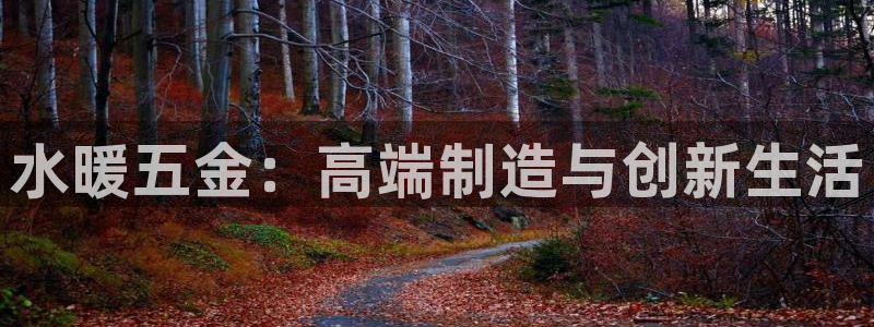 天狮学院娱乐设施