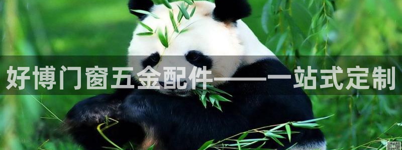 天狮娱乐　23976实c力